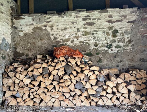 Driftwood-Holiday-Home-Marloes-6